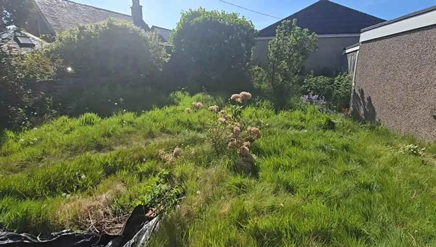 Overgrown rear garden on Kedslie Road thick with weeds and rough grass before any works began